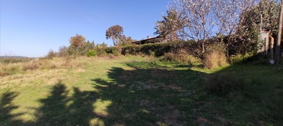 1000m² Hotel in Chalkidiki, Greece No. 4234 2