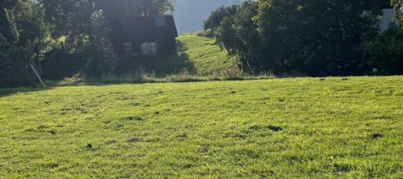  Land in Aigen im Ennstal, Austria No. 254580 3