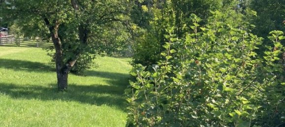  Land in Aigen im Ennstal, Austria No. 254580 9