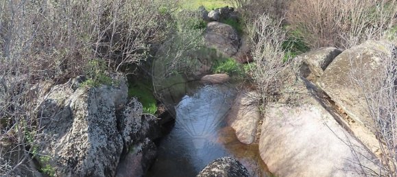 1 chambre Maison à Penamacor, Portugal No. 58555 21