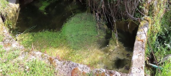 1 chambre Maison à Penamacor, Portugal No. 58555 16