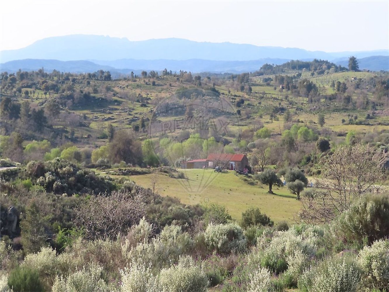 1 chambre Maison à Penamacor, Portugal No. 58555