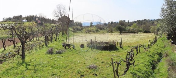 1 chambre Maison à Penamacor, Portugal No. 58555 4