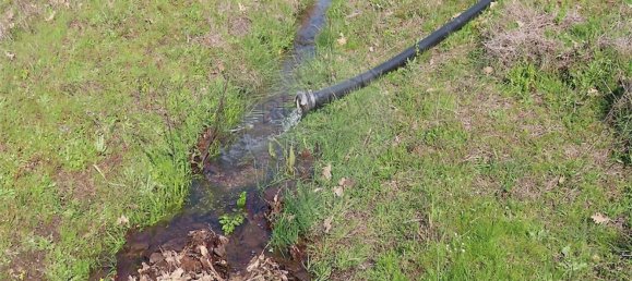 1 chambre Maison à Penamacor, Portugal No. 58555 3