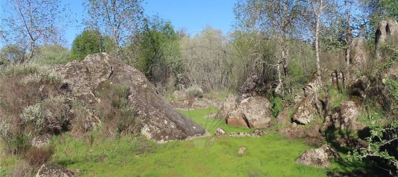 1 chambre Maison à Penamacor, Portugal No. 58555 42