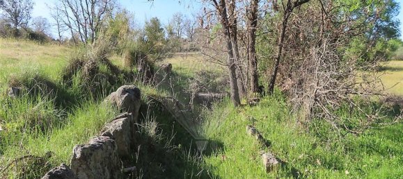 1 chambre Maison à Penamacor, Portugal No. 58555 49