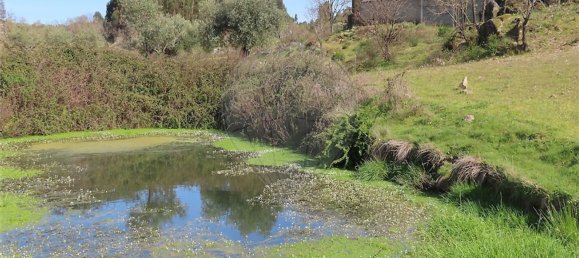 1 chambre Maison à Penamacor, Portugal No. 58555 7