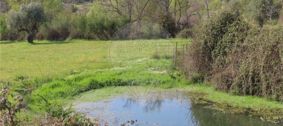 1 chambre Maison à Penamacor, Portugal No. 58555 8