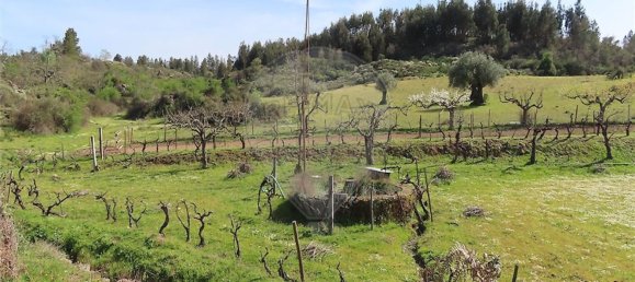 1 chambre Maison à Penamacor, Portugal No. 58555 5
