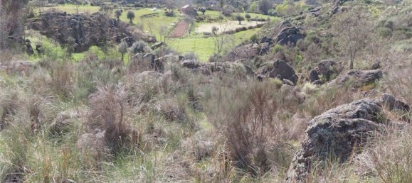 1 chambre Maison à Penamacor, Portugal No. 58555 18