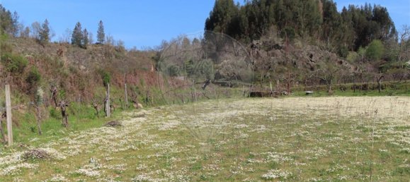 1 chambre Maison à Penamacor, Portugal No. 58555 6