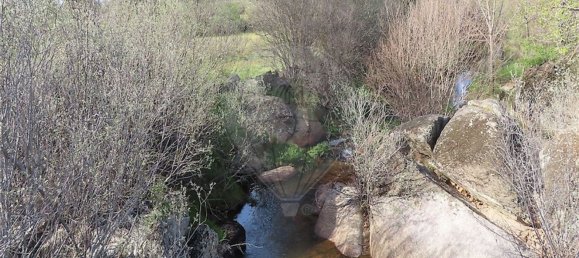 1 chambre Maison à Penamacor, Portugal No. 58555 23