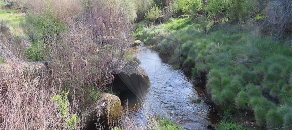 1 chambre Maison à Penamacor, Portugal No. 58555 20