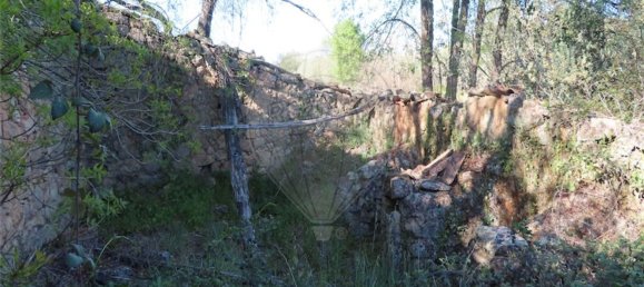 1 chambre Maison à Penamacor, Portugal No. 58555 47