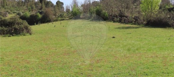 1 chambre Maison à Penamacor, Portugal No. 58555 9