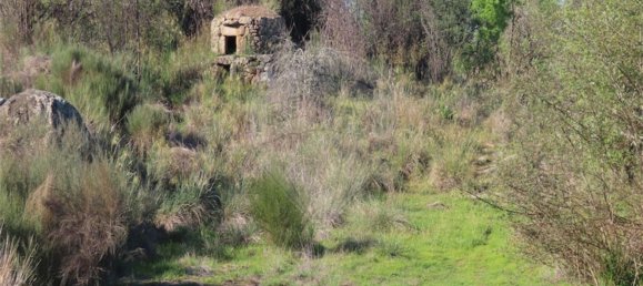 1 chambre Maison à Penamacor, Portugal No. 58555 41