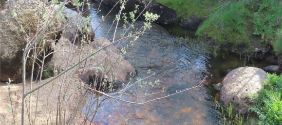 1 chambre Maison à Penamacor, Portugal No. 58555 26