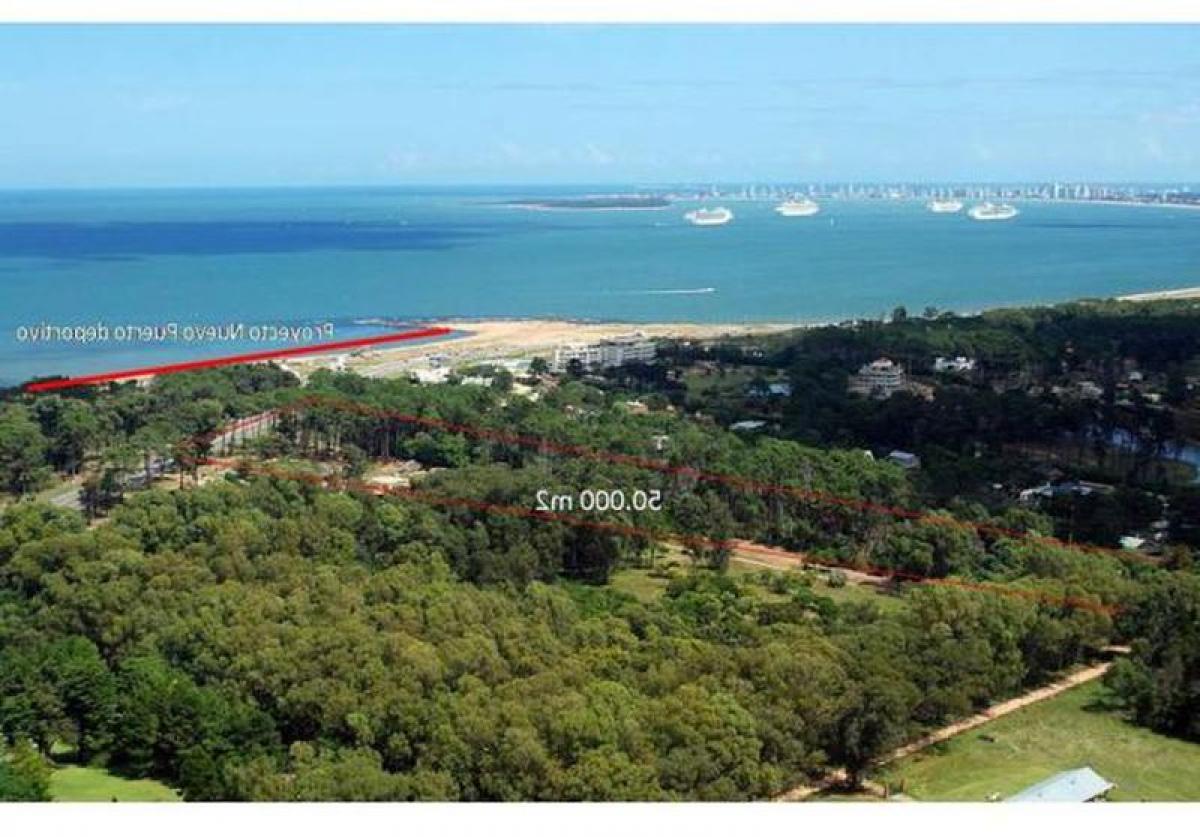  Land in Maldonado, Uruguay No. 14352
