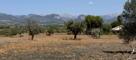 Terreno en Santa Maria Del Cami, Spain No. 185911 3
