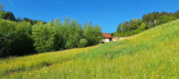 Terreno em Hirschbach im Muhlkreis, Austria N.º 129089 6