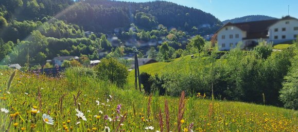 Terreno em Hirschbach im Muhlkreis, Austria N.º 129089 7