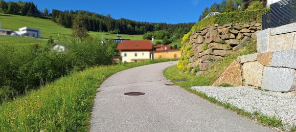 Terreno em Hirschbach im Muhlkreis, Austria N.º 129089 2