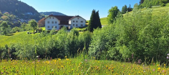 Terreno em Hirschbach im Muhlkreis, Austria N.º 129089 5