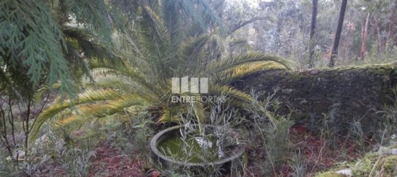 Casa de 2 dormitorios en Fragoso, Portugal No. 80322 3