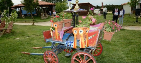 Property في Kilkis, Greece 1600متر مربع رقم 6563 7