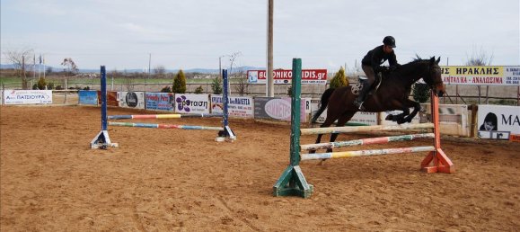 Property in Kilkis, Greece 1600m², Nr. 6563 9