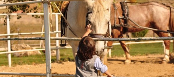 Property in Kilkis, Greece 1600m², Nr. 6563 10