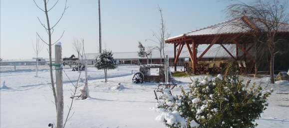 Property in Kilkis, Greece 1600m², Nr. 6563 16