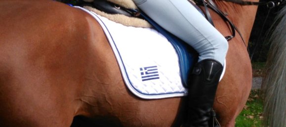 Property في Kilkis, Greece 1600متر مربع رقم 6563 2