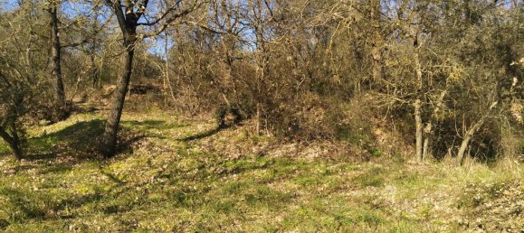 10 rooms House in Arezzo, Italy No. 169112 31