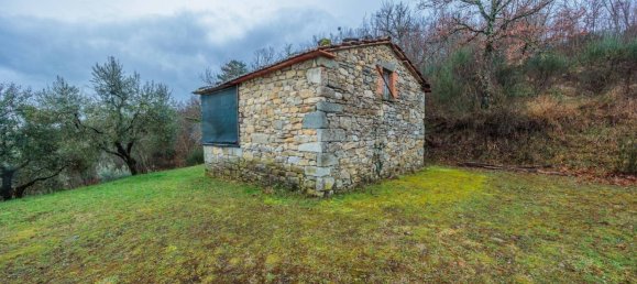 4 bedrooms Villa in Caprese Michelangelo, Italy No. 145626 6