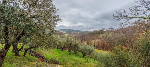 4 bedrooms Villa in Caprese Michelangelo, Italy No. 145626 7