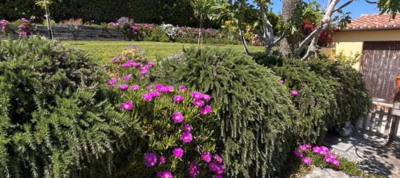 10 rooms House in San Marcello, Italy No. 135849 10