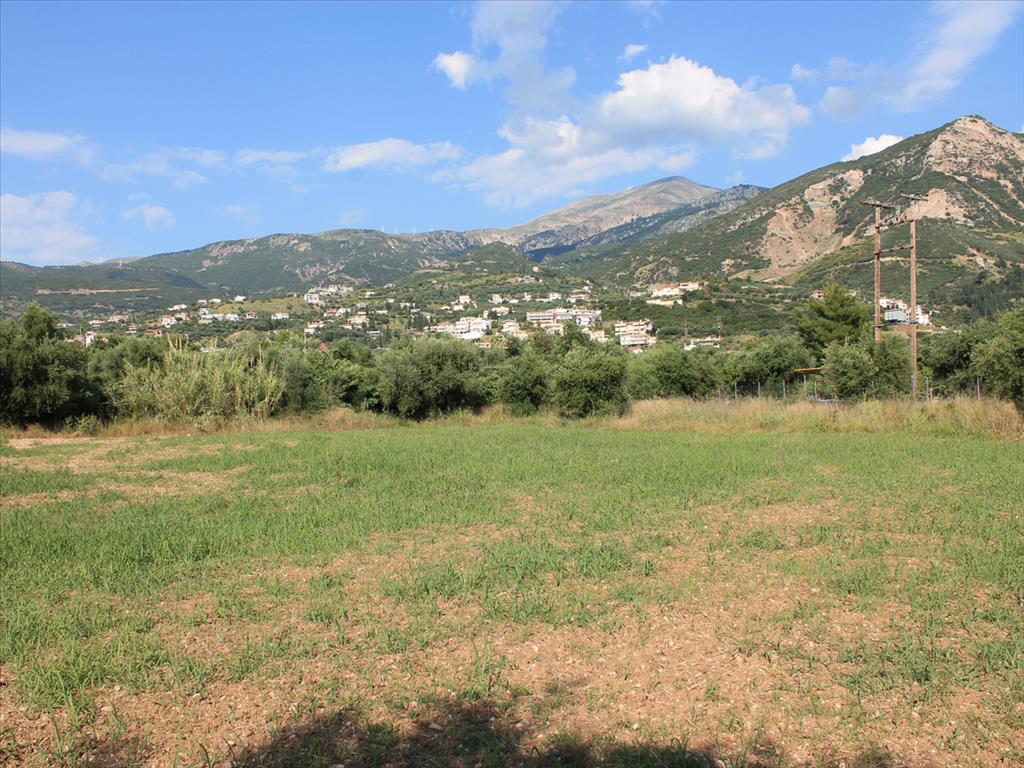 5800m² Hotel in Achaea, Greece No. 7776