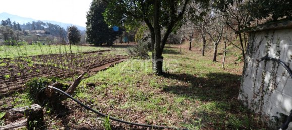 Grundstück in Arcos de Valdevez, Portugal 4580m², Nr. 91368 7