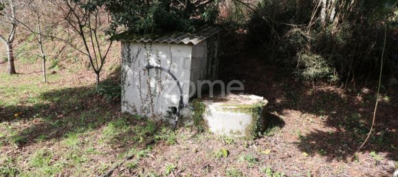 Grundstück in Arcos de Valdevez, Portugal 4580m², Nr. 91368 8