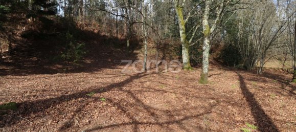 Grundstück in Arcos de Valdevez, Portugal 4580m², Nr. 91368 13