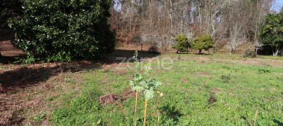 Grundstück in Arcos de Valdevez, Portugal 4580m², Nr. 91368 4