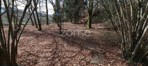 Grundstück in Arcos de Valdevez, Portugal 4580m², Nr. 91368 9