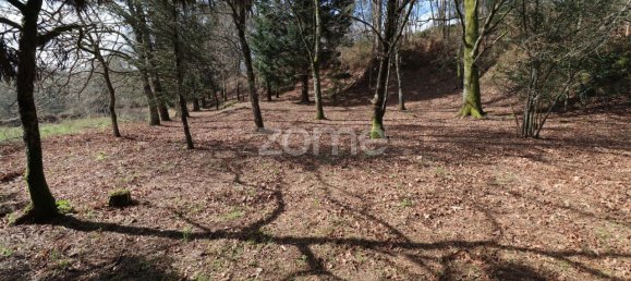 Grundstück in Arcos de Valdevez, Portugal 4580m², Nr. 91368 10