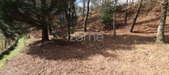 Grundstück in Arcos de Valdevez, Portugal 4580m², Nr. 91368 12