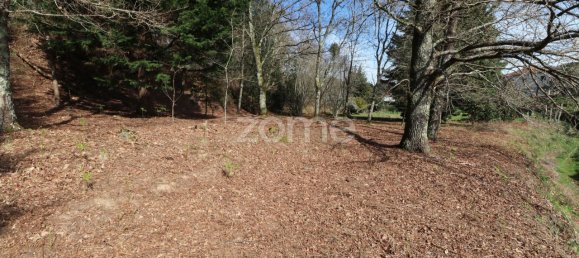 Grundstück in Arcos de Valdevez, Portugal 4580m², Nr. 91368 11