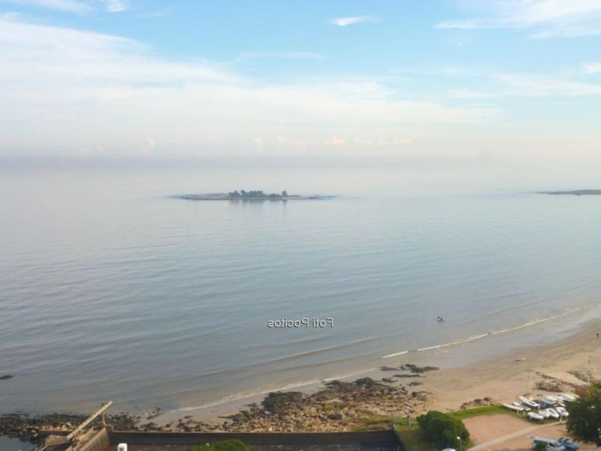 Studio in Montevideo, Uruguay, Nr. 8240