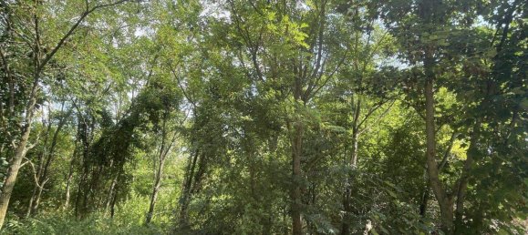  قطعة أرض في Nickelsdorf, Austria رقم 207238 3