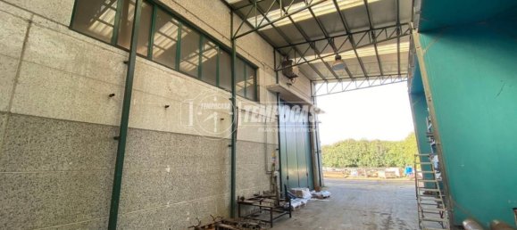 5 rooms Warehouse in Cirié, Italy No. 165730 5
