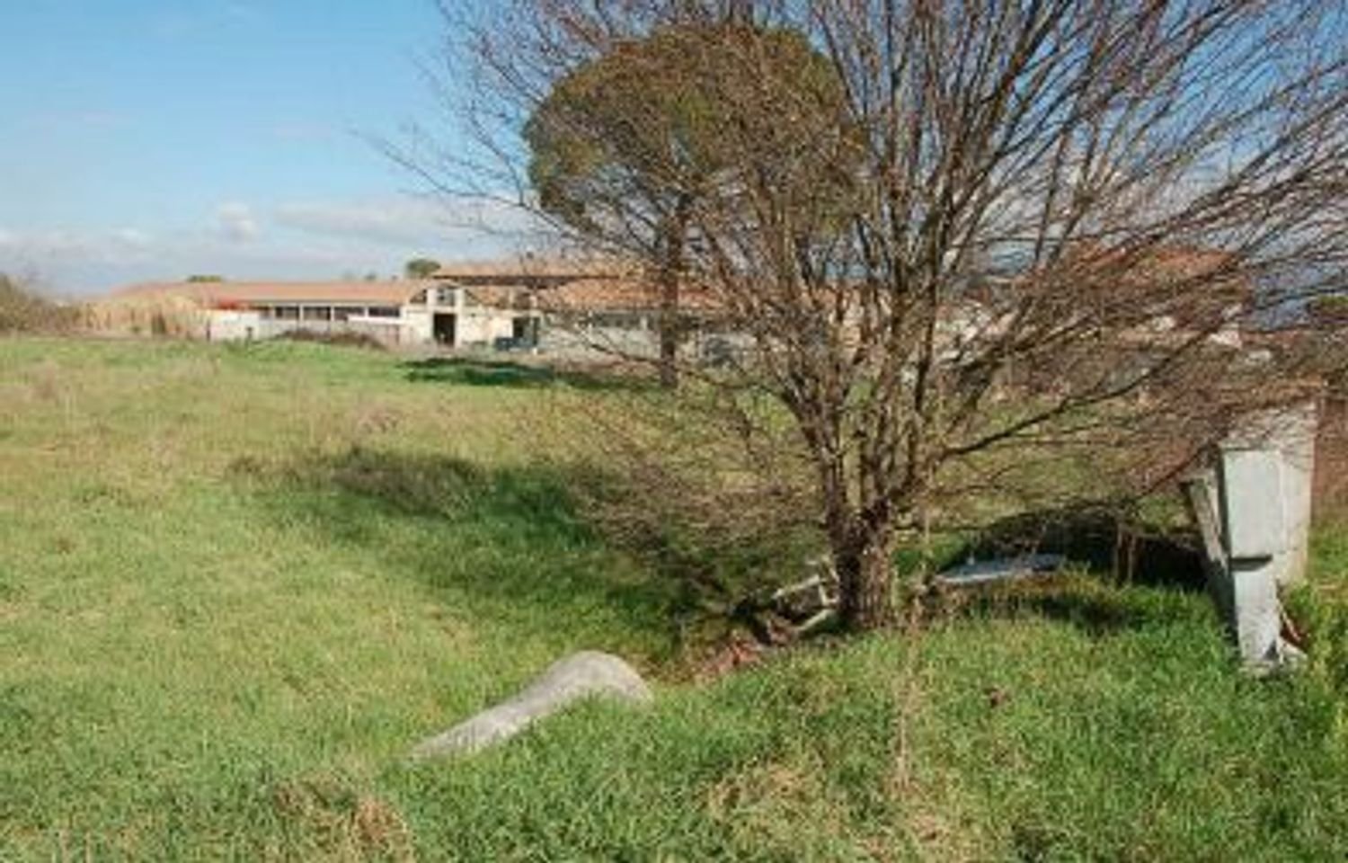 6635m² Land in Cannara, Italy No. 317876